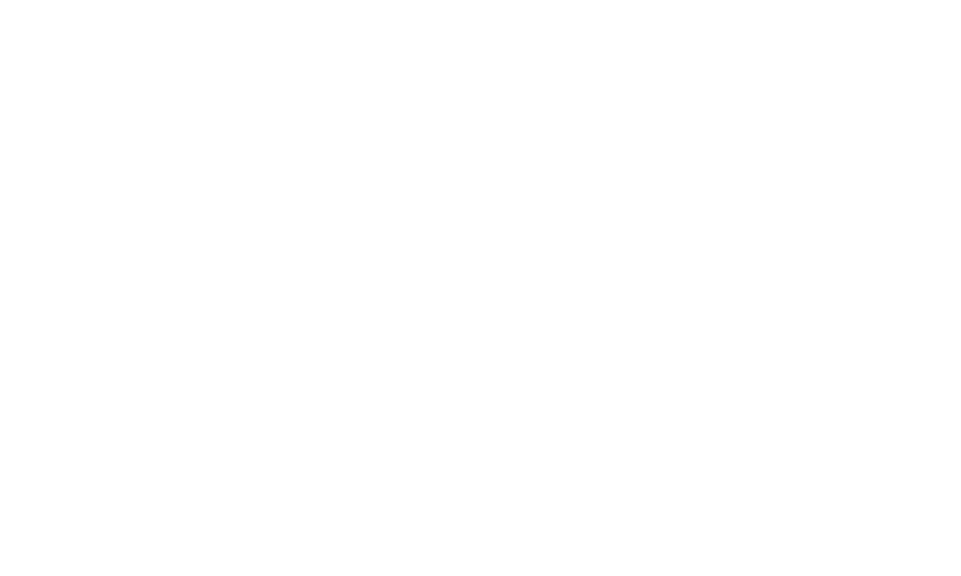 logo lena vision